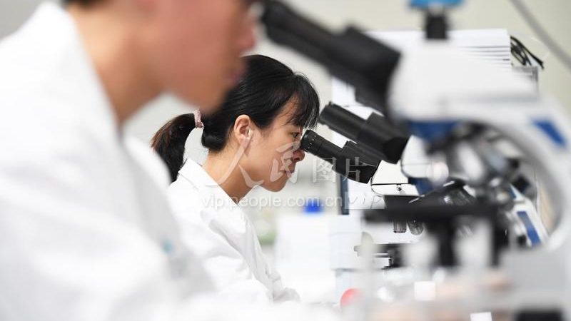 原料药CDMO质量标准：合规之路上的关键要素
