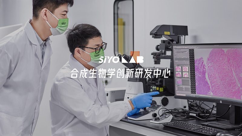 离心管安装不规范可能导致以下问题：
