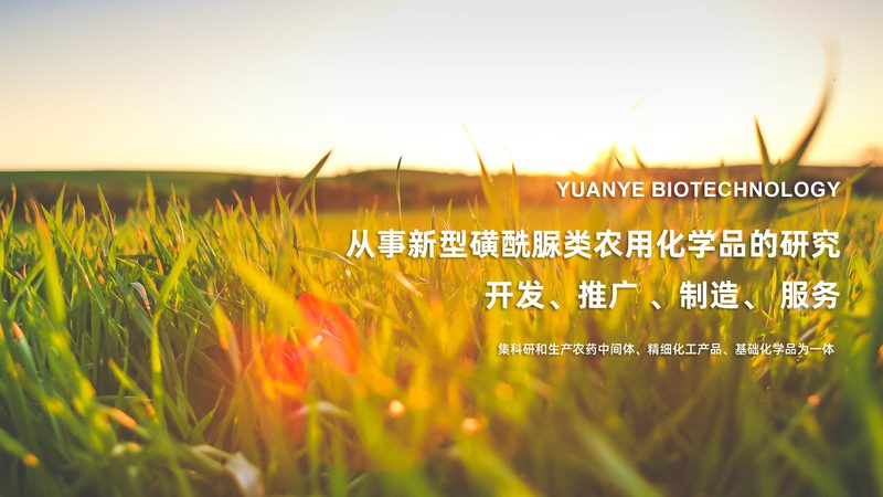 CDMO代理加盟，揭秘行业选择背后的逻辑