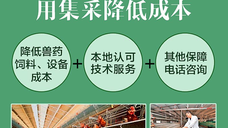 细胞培养，从入门到精通：步骤详解与关键要点**