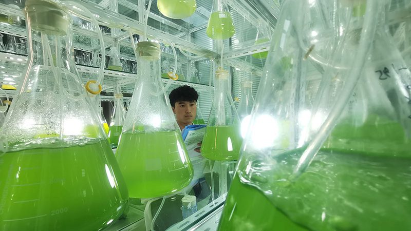 CDMO行业崛起：揭秘国内CDMO品牌排名背后的考量