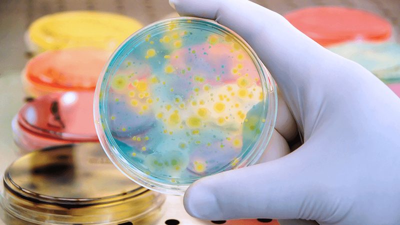 基因治疗：揭开国内生物制品厂家的神秘面纱