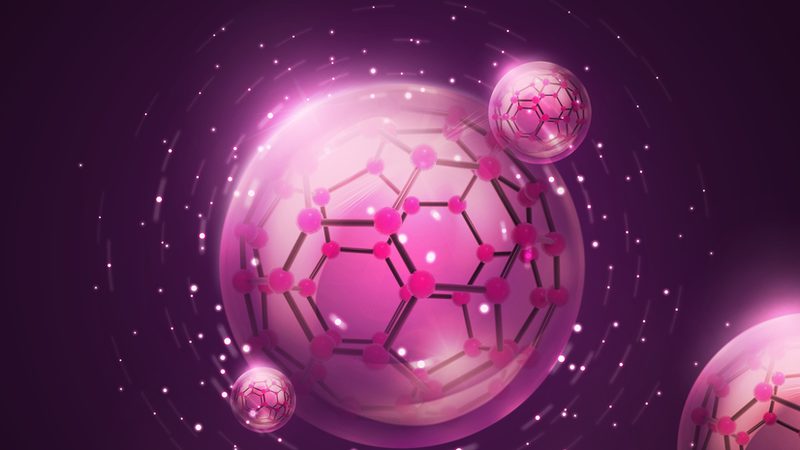 细胞培养：从基础步骤到详细流程解析**