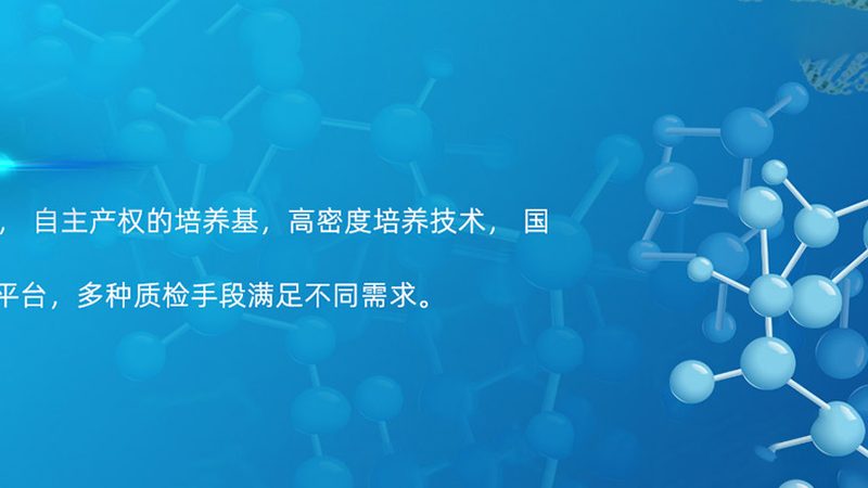 引物合成：确保PCR实验精准的基石