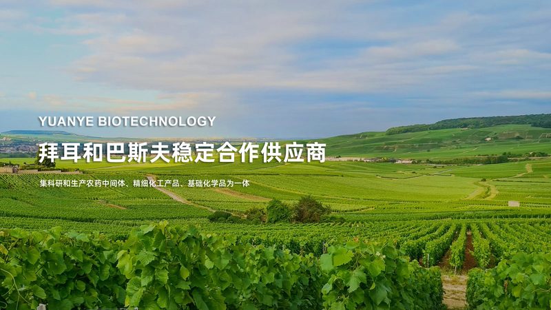 生物制品定制加工质量管理体系：构建与保障