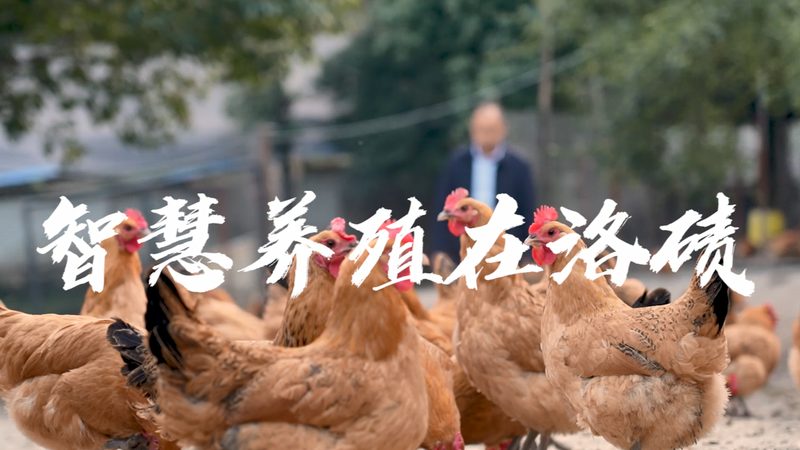 生物医药外包质量对比分析：如何选择合适的合作伙伴
